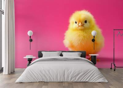 little yellow fluffy chick on a pink   background minimalism  AI generated Wall mural