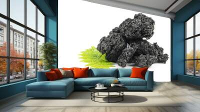 a pile of black coal with a young green plant, isolated Wall mural