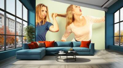 Aggressive mad women fighting each other. Wall mural