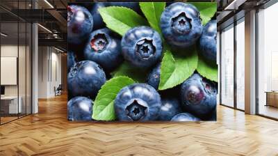 Fresh blueberry with green leaves. Food background. Wall mural