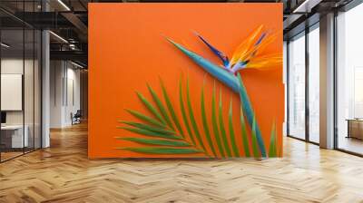 Strelitzia flower and green palm fond on orange - tropical background Wall mural