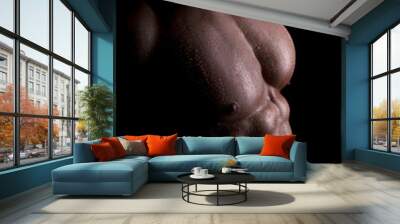 Muscular, male body Wall mural