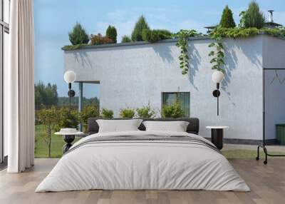 Green garden and plants on roof of house. Technology and protecting planet. Technology and lifestyle.  Wall mural