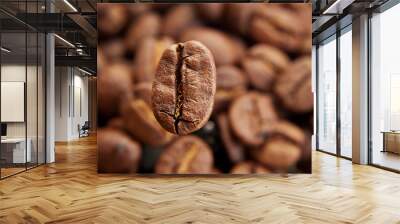 Background of coffee beans with one big in focus Wall mural