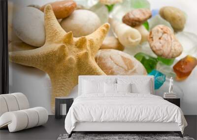 Sea shell collection Wall mural