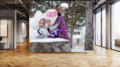 Two girls talking among winter park Wall mural