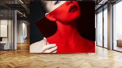 Bright contrasting beauty makeup portrait of a woman in blue and red shadow tones. Perfect clean skin and face makeup, dark lipstick on plump lips Wall mural