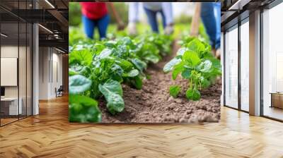 In a vibrant garden, individuals work together to nurture and cultivate leafy green plants under the warm sunlight, fostering growth and community Wall mural