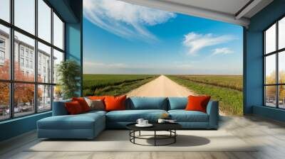 Blue Skies and a Rural Country Road  Wall mural