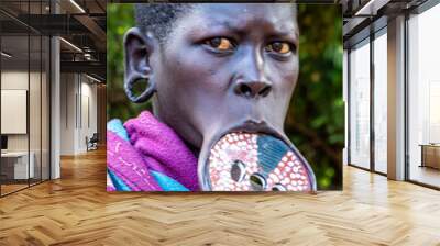 ethiopia, a woman from the mursi tribe with traditional lip plate. omo valley, jinka, 21th of februa Wall mural