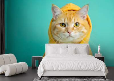 Orange tabby cat, Confident cat in a bright yellow hoodie posing adorably against a vivid turquoise background Wall mural