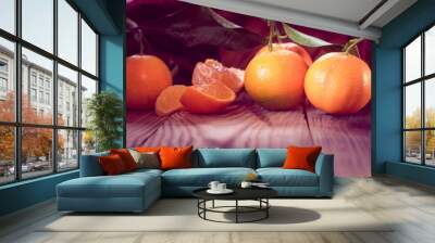 tangerines with leaves Wall mural