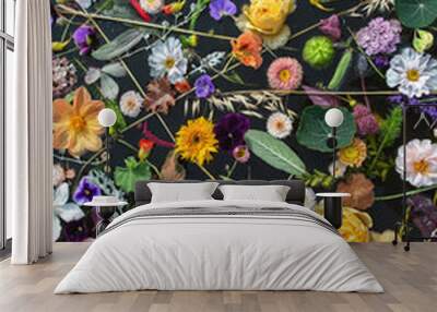 Multicolored floral on the water ,black background ,selective focus Wall mural