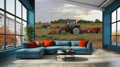 two tractors with machinery are threshing and harvesting onions at a field in the dutch countryside Wall mural