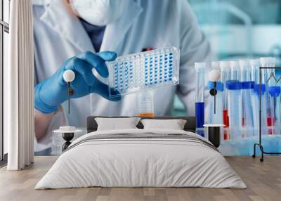 Doctor working with panel microplate for diseases diagnostic in the laboratory. hand of researcher working with microplate for elisa analysis Wall mural