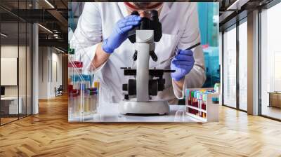 microbiologist examining biological samples with a microscope and an inoculation loop in the laborat Wall mural