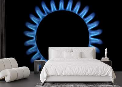 methane gas flame of a home cooker, top view, black background Wall mural