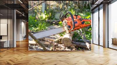 Chainsaw on wooden stump or firewood. Cut tree machine wide banner, or copy space for text Wall mural