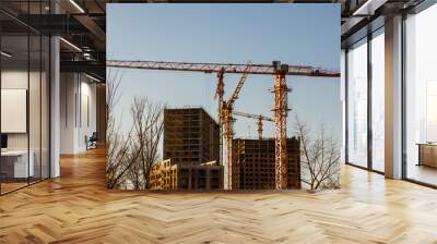 Crane. Construction crane. Building crane on the background of two buildings Wall mural