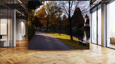 empty autumn park. Autumn landscape Wall mural