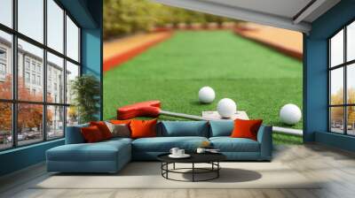 Mini-golf ball on artificial grass. Summer season game Wall mural