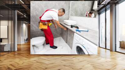 Professional plumber. Plumbing repair service. Wall mural