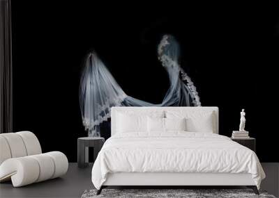 wedding white Bridal veil on black background isolated Wall mural