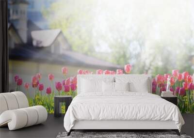 A flower bed with pink and purple tulips in the rays of sunlight against the backdrop of a beautiful white house with a sloping roof. Gardening, panoramic view Wall mural