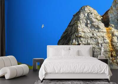 Steep chalk cliffs, blue sky, flying seagull, green grass carpet, beautiful natural landscape. Mediterranean France Wall mural