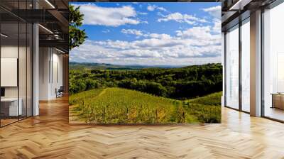 Le colline e i vigneti attorno al borgo di Vagliagli . Panorama autunnale. Chianti, Toscana. Italia Wall mural