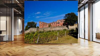 Le colline e i vigneti del Castello di Brolio sul percorso dell'Eroica . Panorama autunnale. Chianti, Toscana. Italia Wall mural