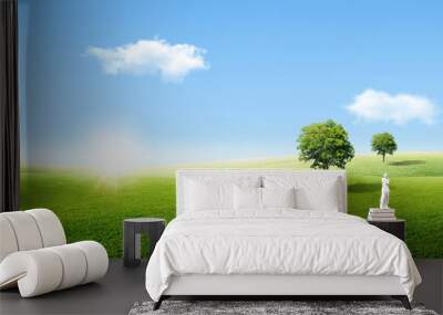 Beautiful landscape view of Alone green tree with grass natural meadow field and little hill with white clouds and blue sky in summer seasonal. Wall mural