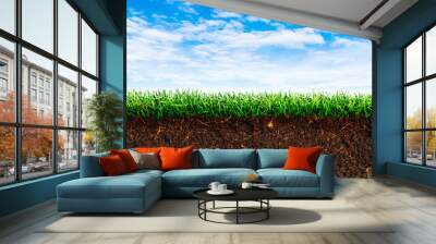 Cross section brown soil and green grass in underground with blue sky in background. Wall mural