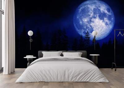 Landscape view of Forest in the dark and fog or mist with full moon in blue lighting background. (Elements of this image furnished by NASA.) Wall mural