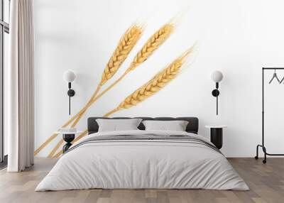 Set dried ear of barley or wheat isolated on white background. Wall mural