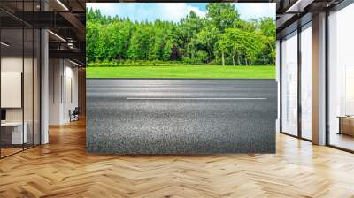 Side view of Asphalt straight street roadway of lanes with lines and green trees with blue sky in background. Wall mural