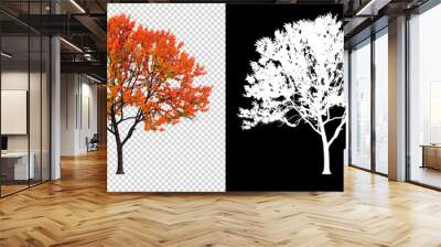 Autumn season tree on transparent background with clippings path Wall mural