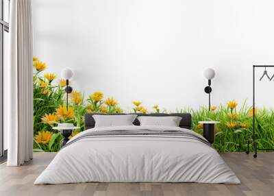 medow field with flower on white background with clipping path, 3d illustration rendering Wall mural