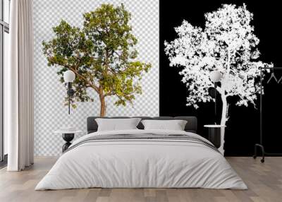 single tree on transparent picture background with clipping path, single tree with clipping path and alpha channel on black background Wall mural