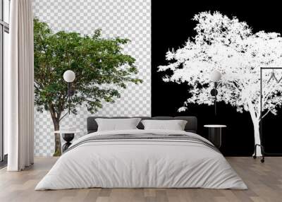 single tree on transparent picture background with clipping path, single tree with clipping path and alpha channel on black background Wall mural