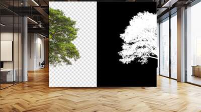 single tree on transparent picture background with clipping path Wall mural