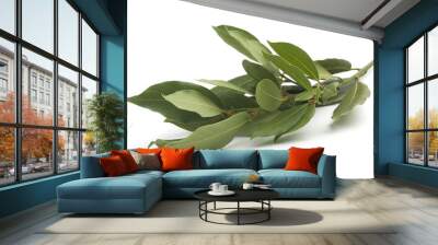 Bay leaf Wall mural