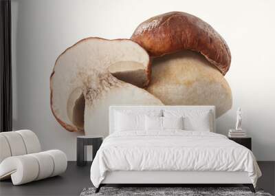 Isolated white mushrooms Wall mural