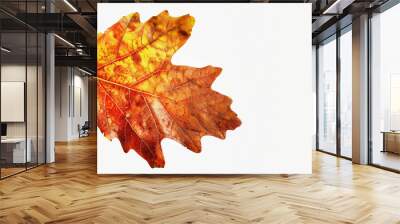 Aesthetic oak leaf with vibrant autumn colors, copy space, white background, presentation template. Generative AI Wall mural