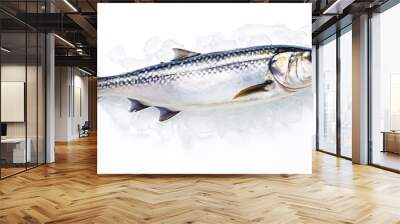 Fresh mackerel fish (Scomber scrombrus) on ice. Seafood background. Generative AI Wall mural