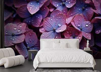 Purple Hydrangeas flowers with water drops background. Closeup of blossom with glistening droplets. Generative AI Wall mural