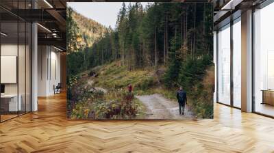 three friends are traveling in the mountains. overcome the route in the mountains with a backpack. autumn landscapes. Carpathian mountains. go on a hike with friends Wall mural