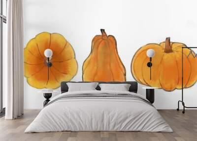 The image shows three pumpkins of different shapes and sizes, painted in a watercolor style. Pumpkin set watercolor. Big set of pumpkins for Halloween and Thanksgiving day Wall mural