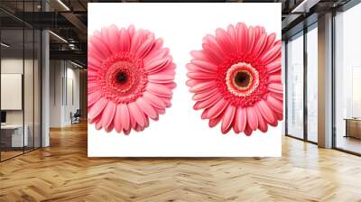 Set of gerbera top view isolated on a transparent background Wall mural