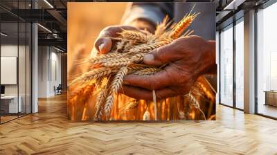 African man holding grain after harvest Wall mural